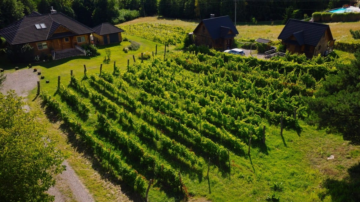 Lokal użytkowy  pokojowe na Sprzedaż