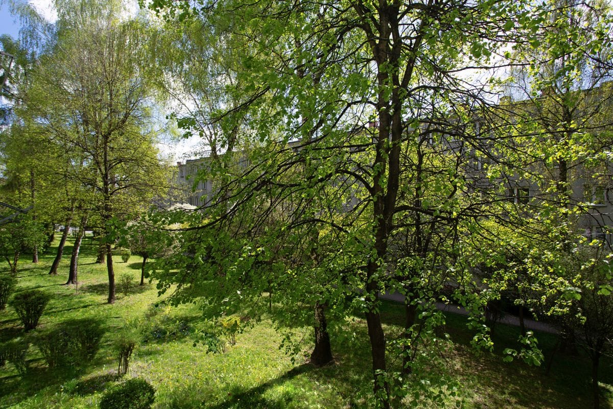 Mieszkanie 3 pokojowe na Wynajem