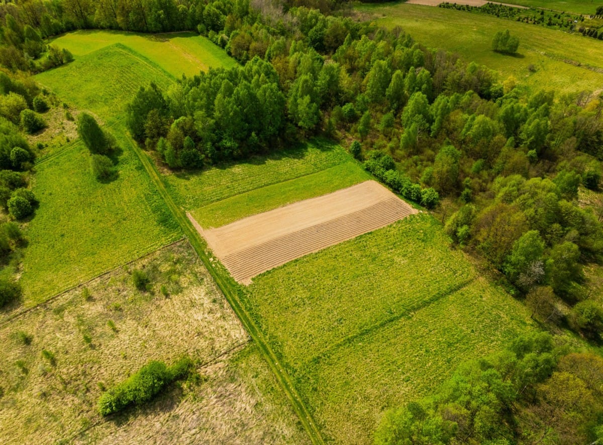 Działka  pokojowe na Sprzedaż