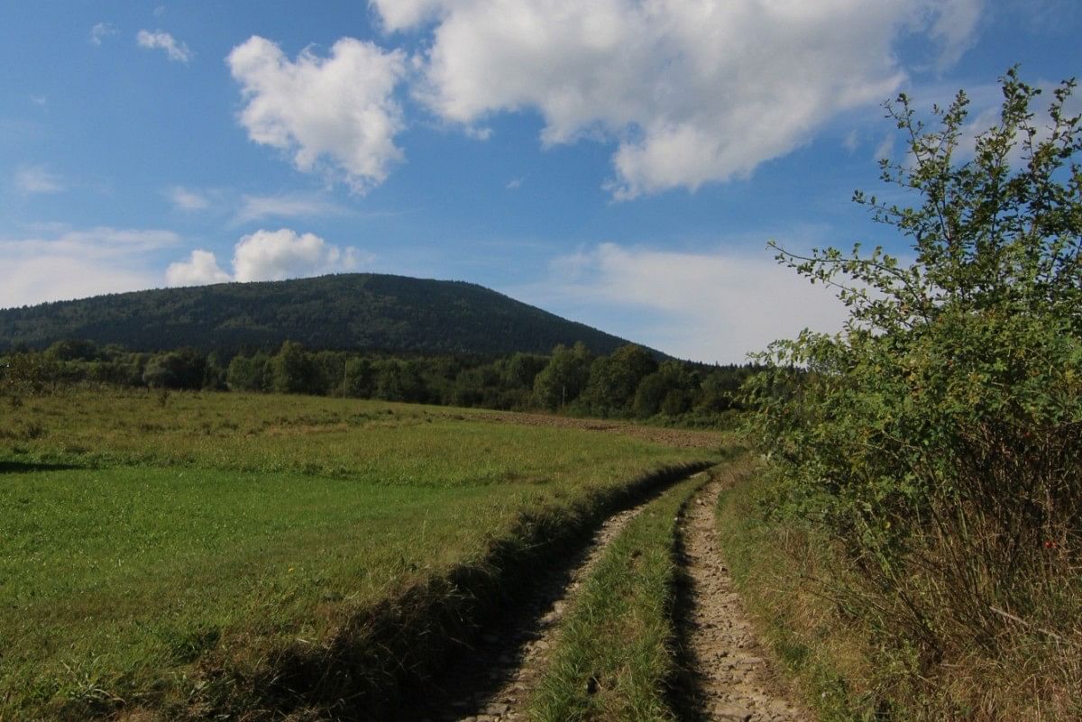 Dom 7 pokojowe na Sprzedaż