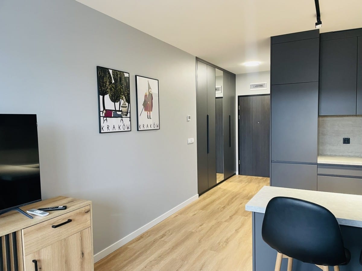 Mieszkanie 1 pokojowe na Wynajem