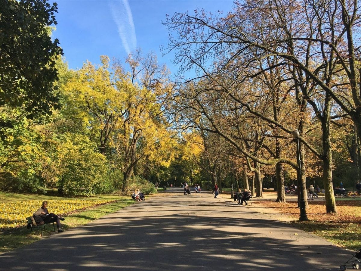 Mieszkanie 1 pokojowe na Sprzedaż