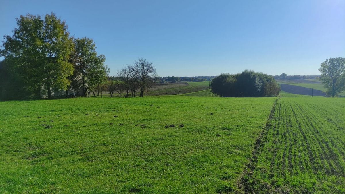 Działka  pokojowe na Sprzedaż