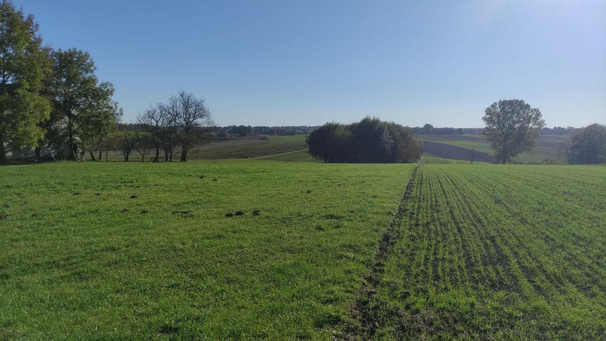 Działka  pokojowe na Sprzedaż