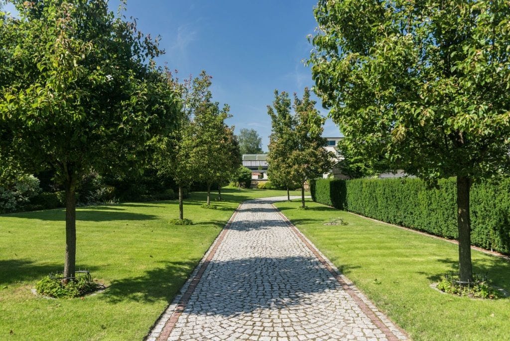 Dom 6 pokojowe na Sprzedaż