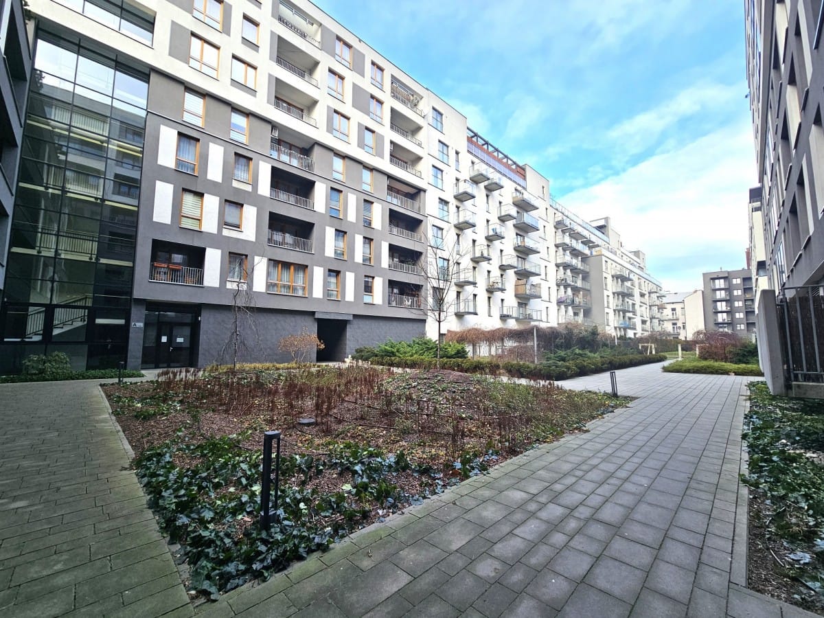 Mieszkanie 3 pokojowe na Wynajem