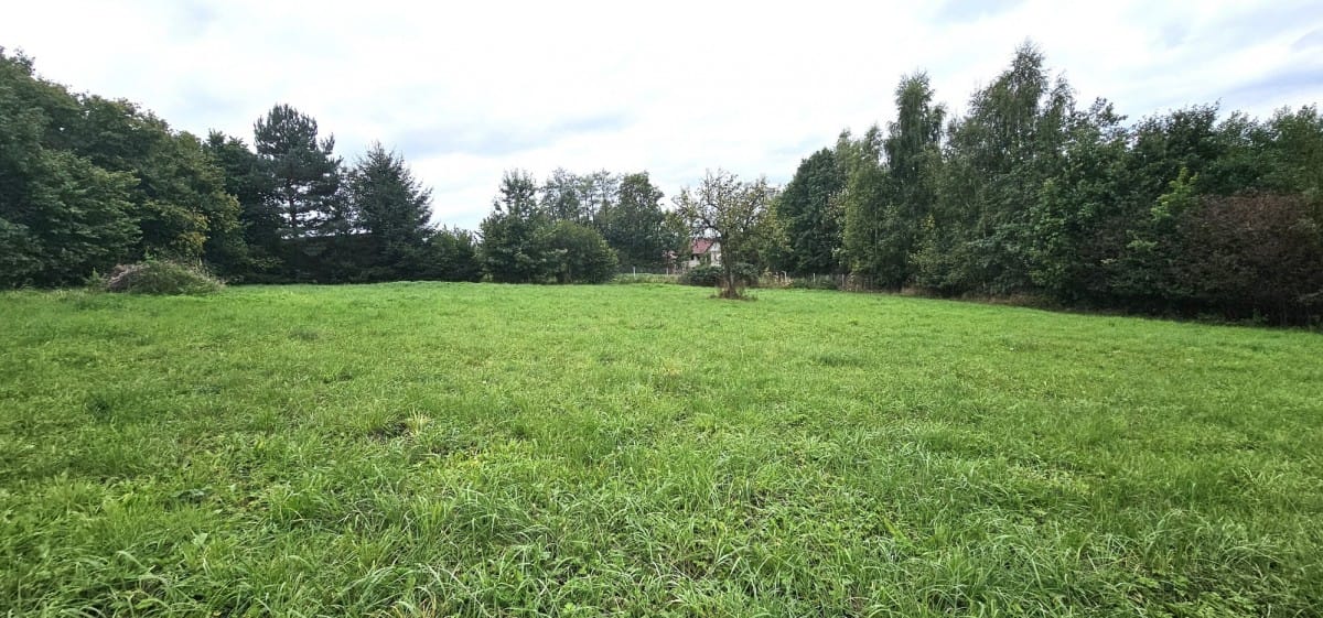 Dom 3 pokojowe na Sprzedaż