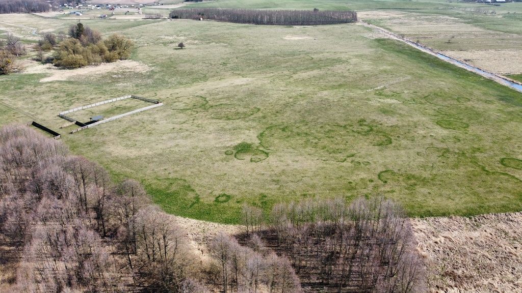 Działka  pokojowe na Sprzedaż