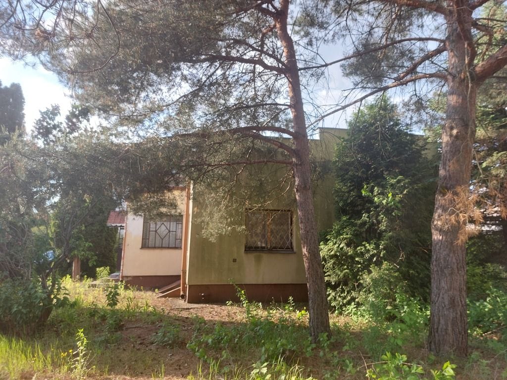 Dom 3 pokojowe na Sprzedaż