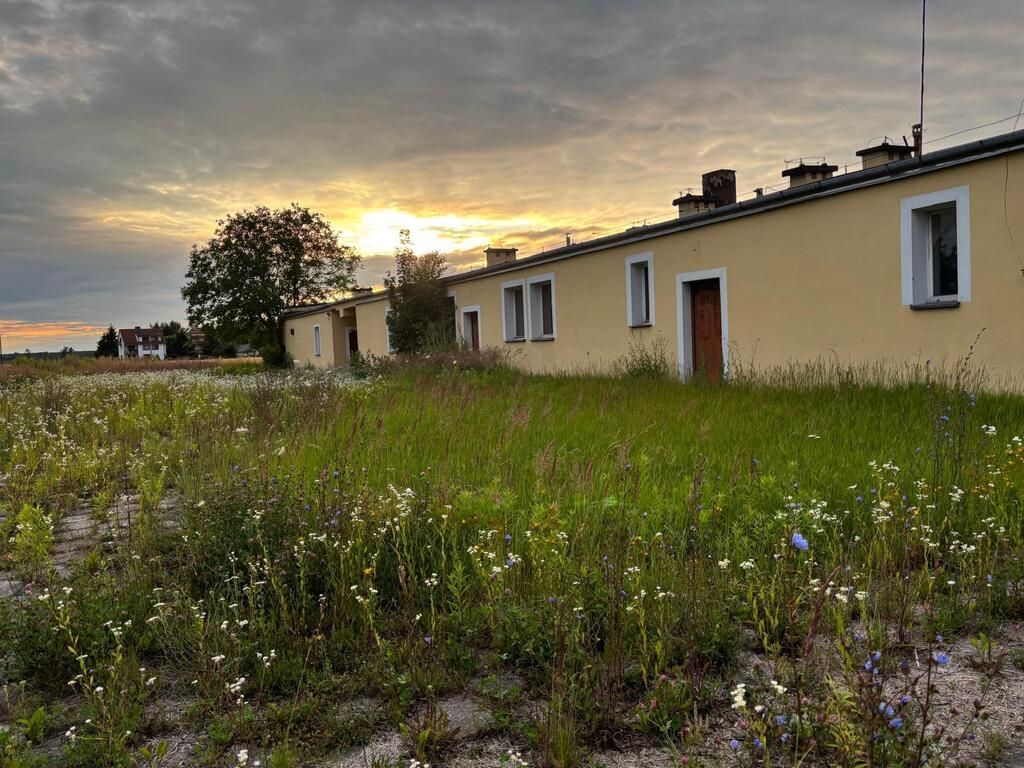 Lokal użytkowy  pokojowe na Sprzedaż