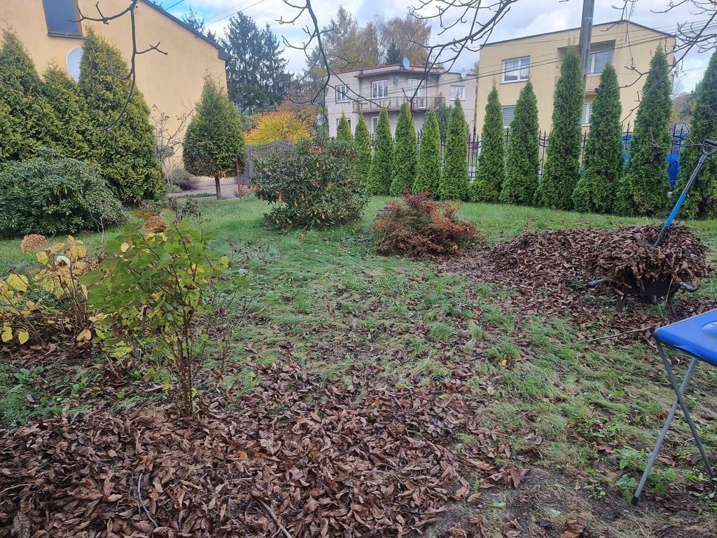 Dom 6 pokojowe na Sprzedaż