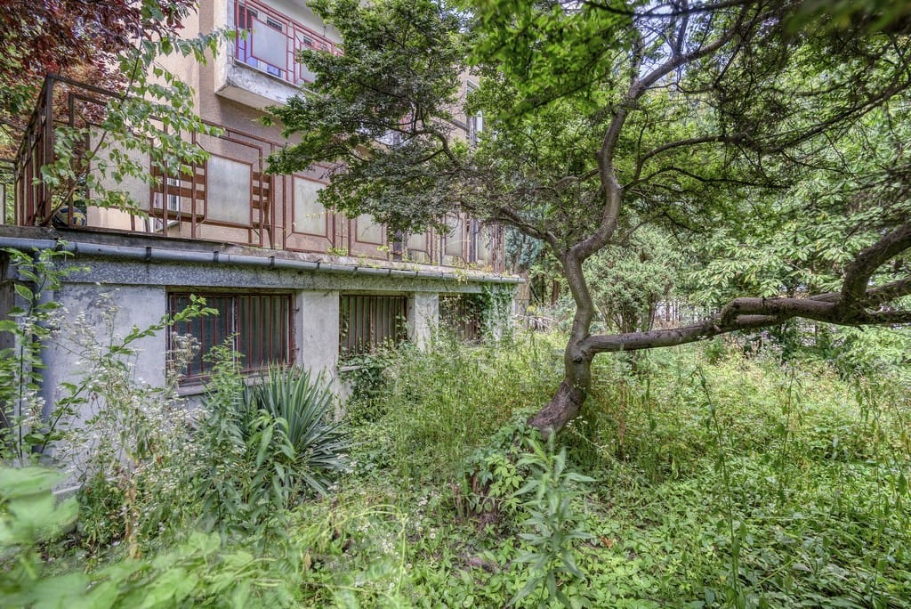 Dom 5 pokojowe na Sprzedaż