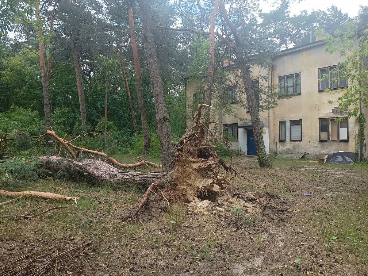 Dom 10 pokojowe na Sprzedaż