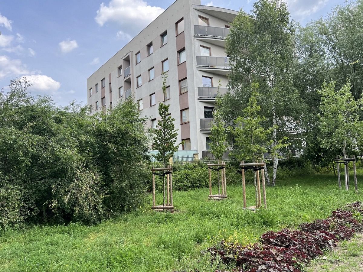 Mieszkanie 2 pokojowe na Wynajem