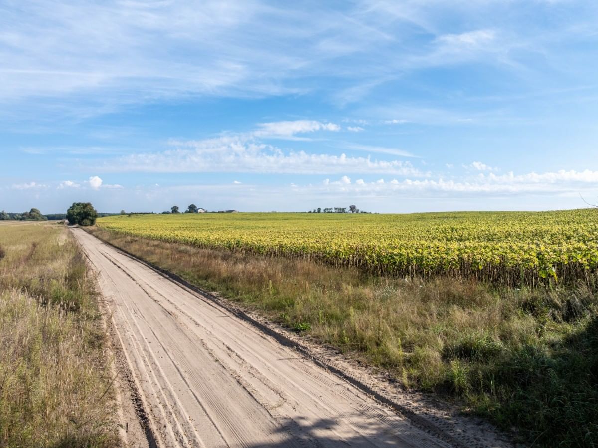 Działka  pokojowe na Sprzedaż