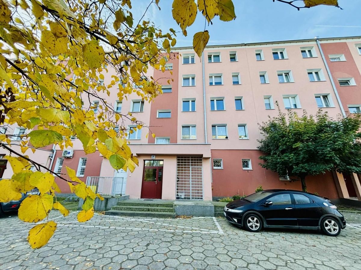 Mieszkanie 3 pokojowe na Wynajem