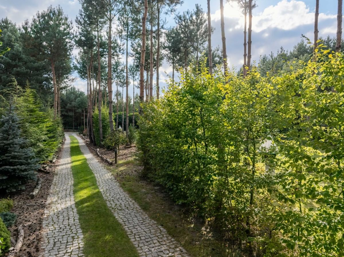 Dom 5 pokojowe na Sprzedaż