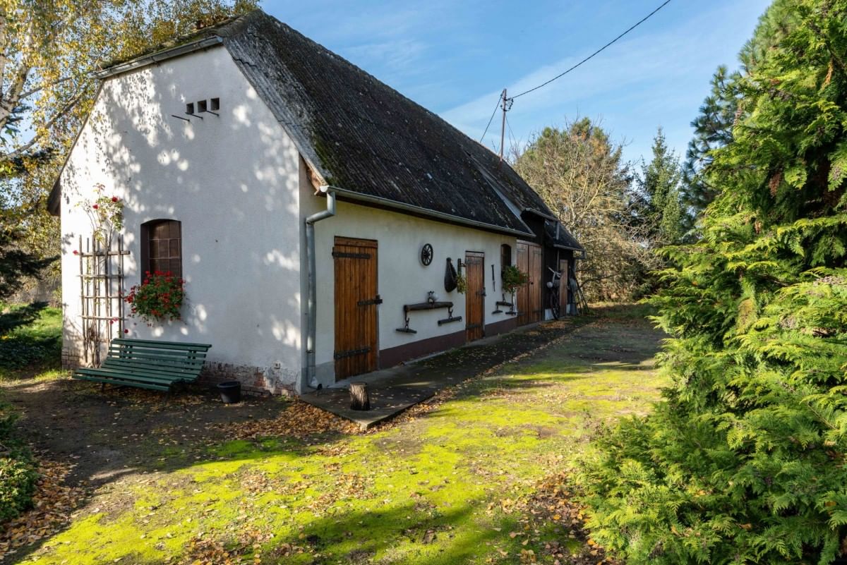 Dom 6 pokojowe na Sprzedaż