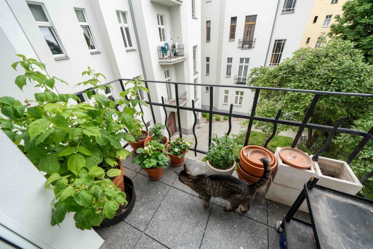 Mieszkanie 4 pokojowe na Sprzedaż