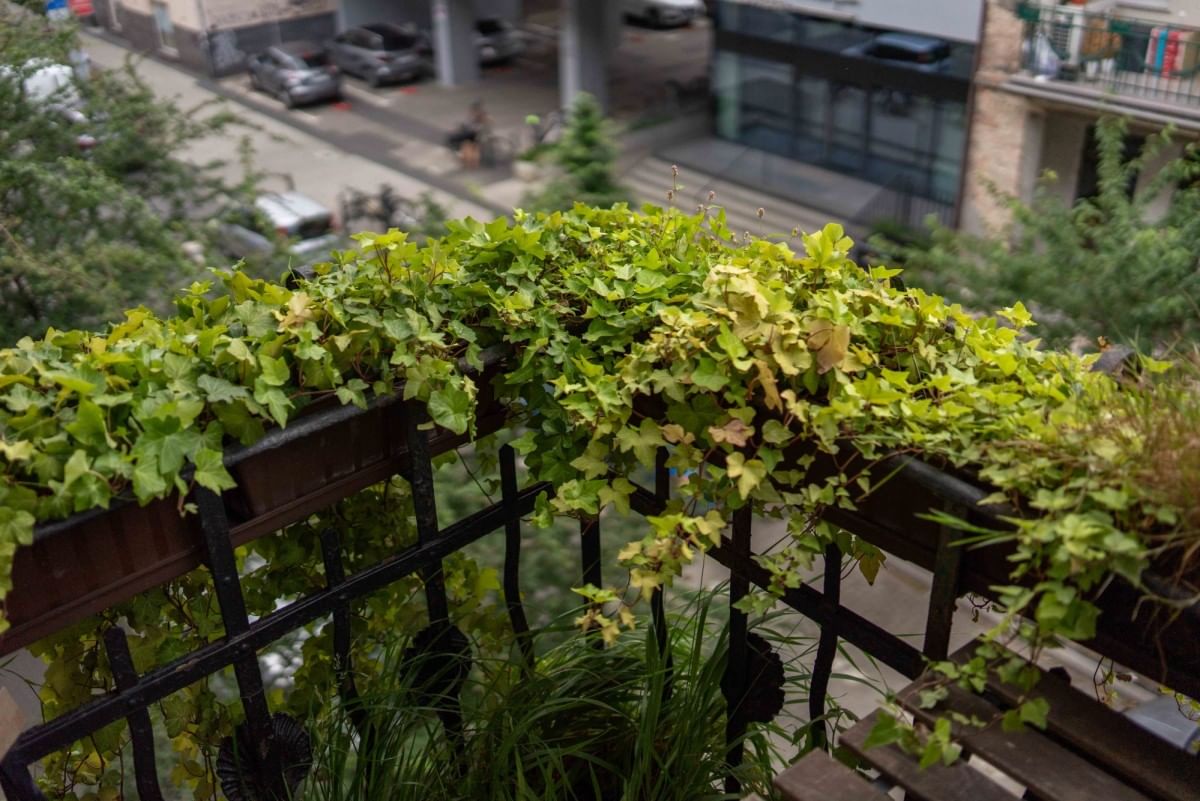 Mieszkanie 4 pokojowe na Sprzedaż