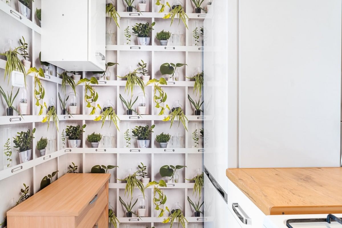 Mieszkanie 2 pokojowe na Wynajem