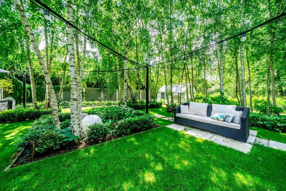 Dom 6 pokojowe na Sprzedaż