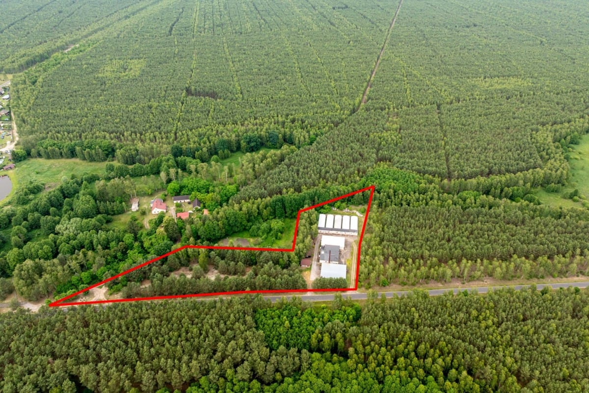 Działka  pokojowe na Sprzedaż