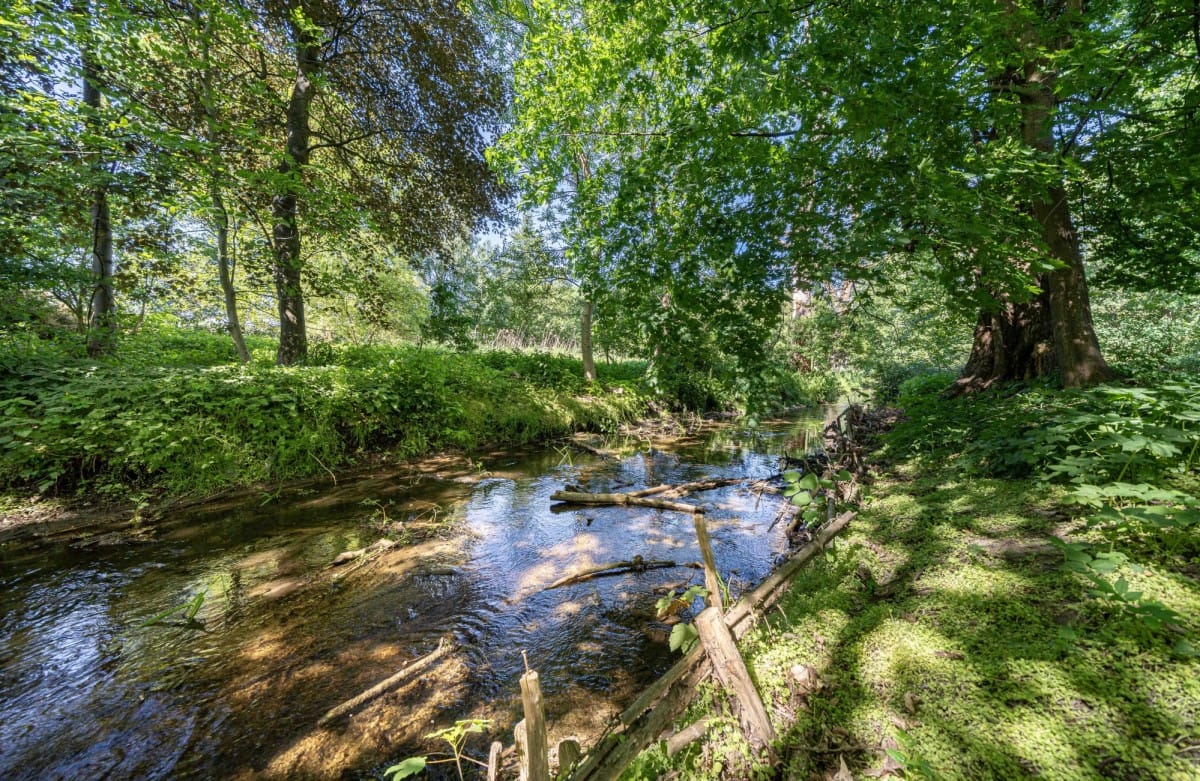 Dom  pokojowe na Sprzedaż