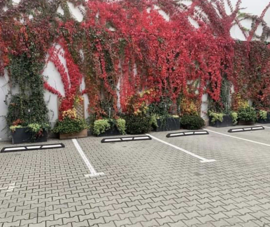 Dom 21 pokojowe na Sprzedaż