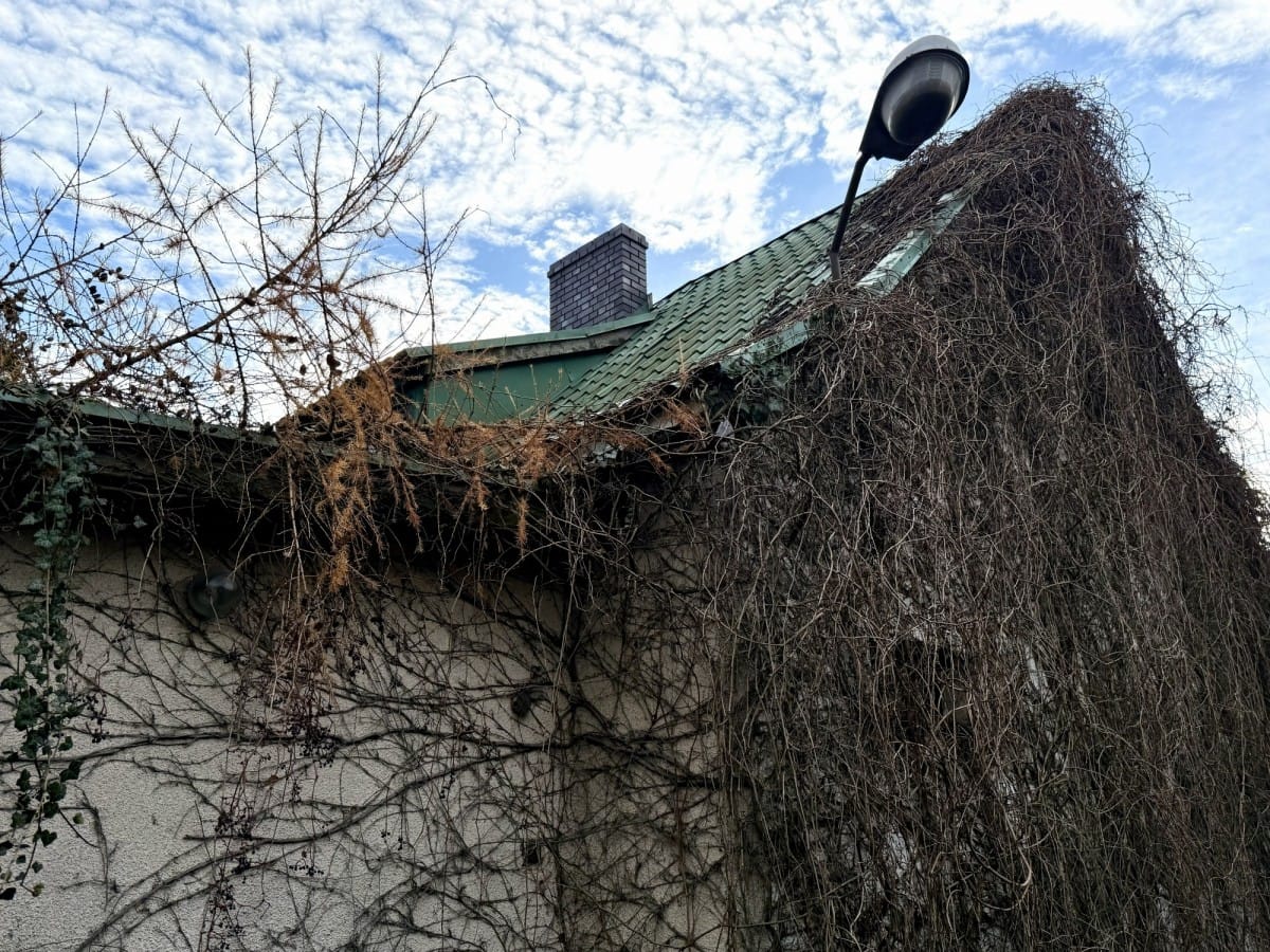 Dom 4 pokojowe na Sprzedaż