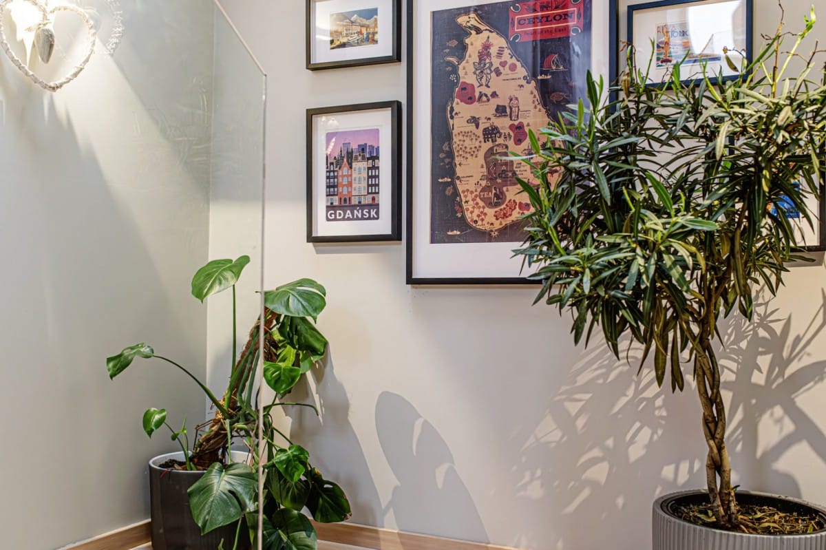 Mieszkanie 5 pokojowe na Sprzedaż