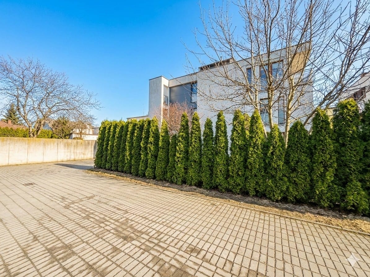 Mieszkanie 3 pokojowe na Wynajem