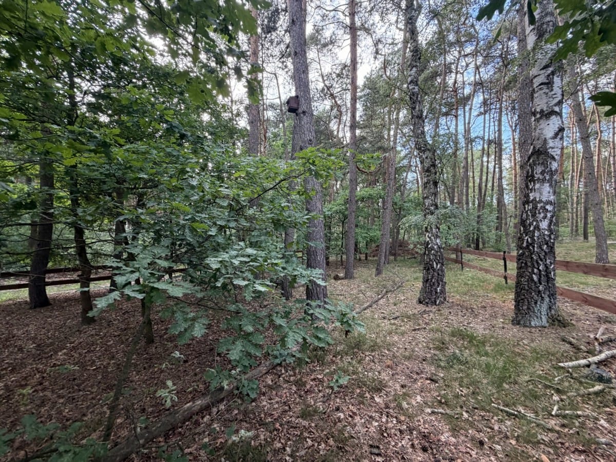 Dom 3 pokojowe na Sprzedaż