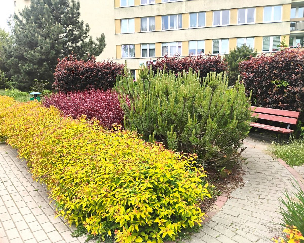 Mieszkanie 4 pokojowe na Sprzedaż
