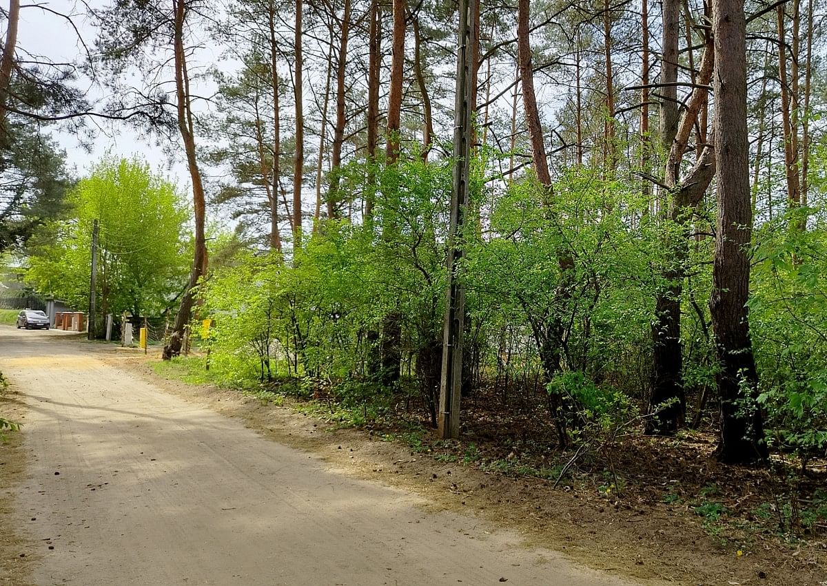 Działka  pokojowe na Sprzedaż