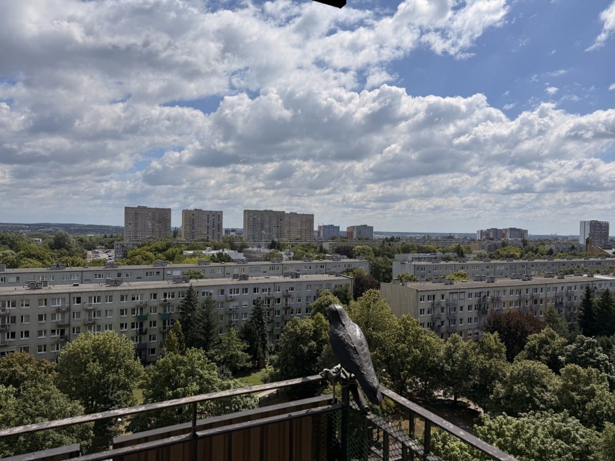 Mieszkanie 2 pokojowe na Wynajem