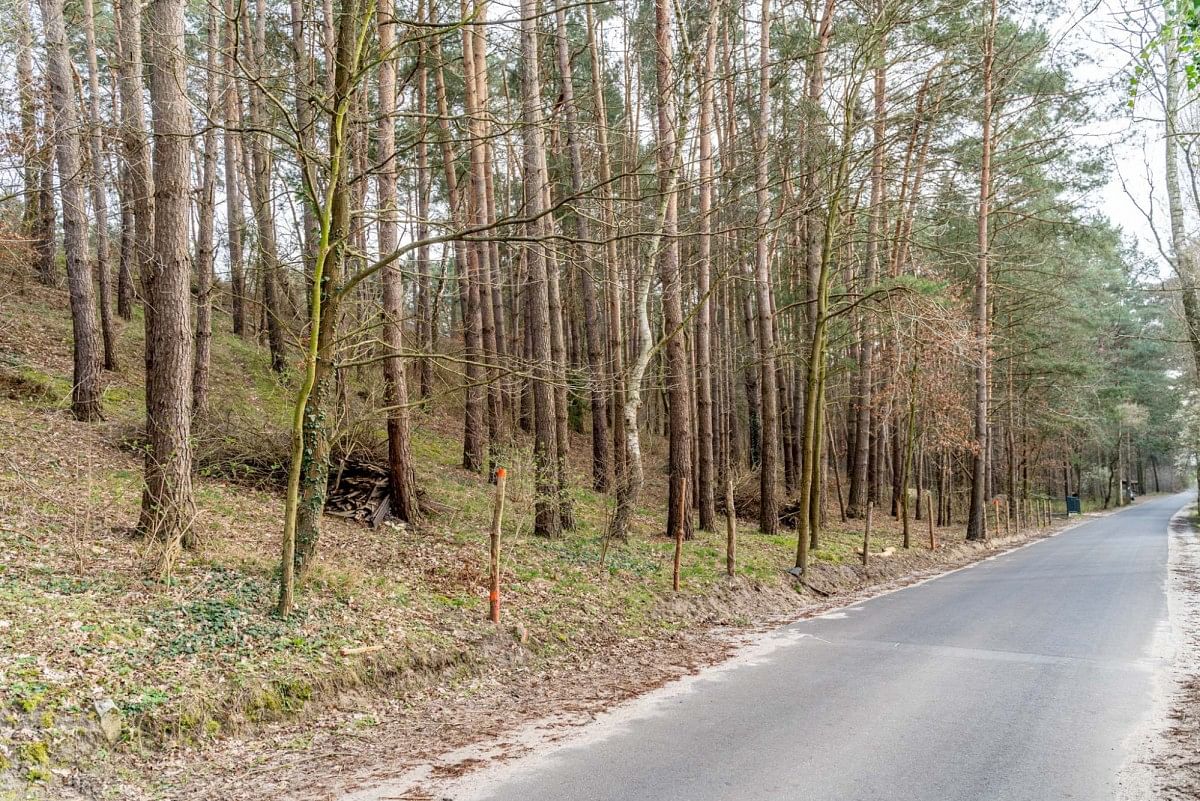 Działka  pokojowe na Sprzedaż