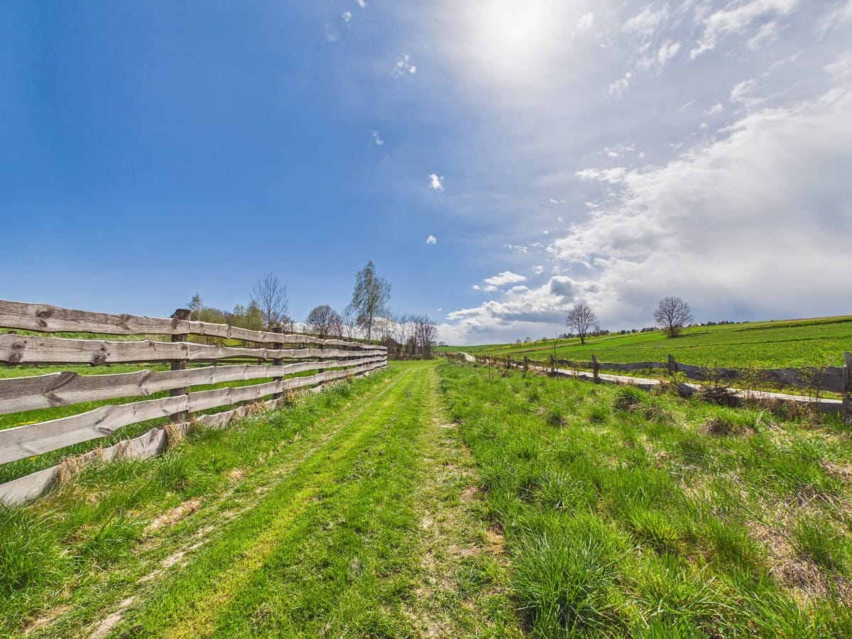 Dom 3 pokojowe na Sprzedaż