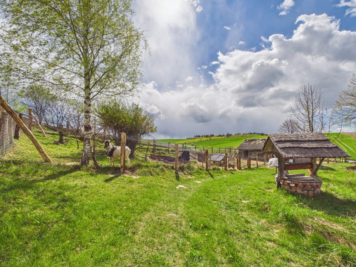 Dom 3 pokojowe na Sprzedaż