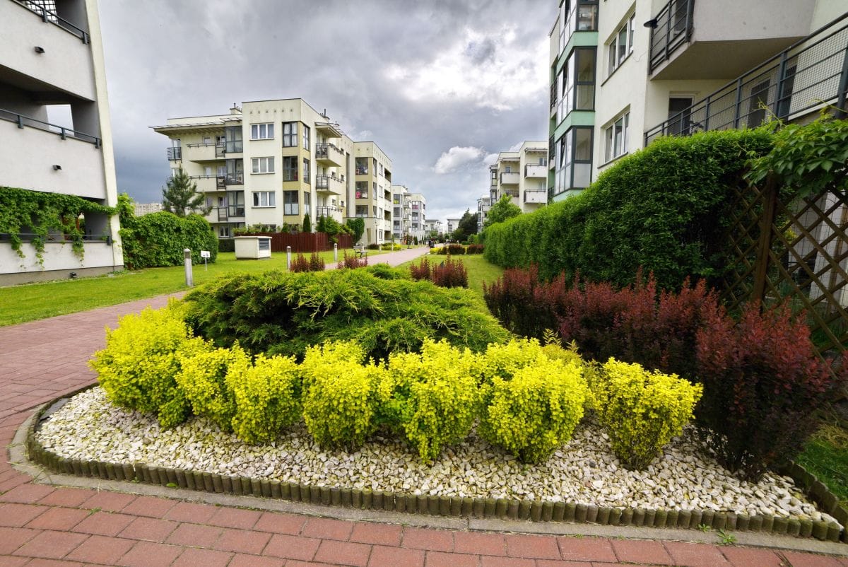 Mieszkanie 2 pokojowe na Wynajem