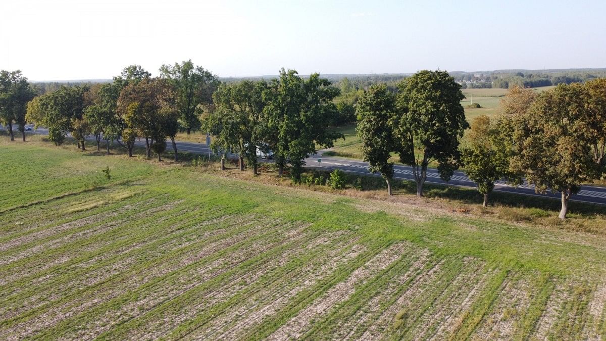 Działka  pokojowe na Sprzedaż