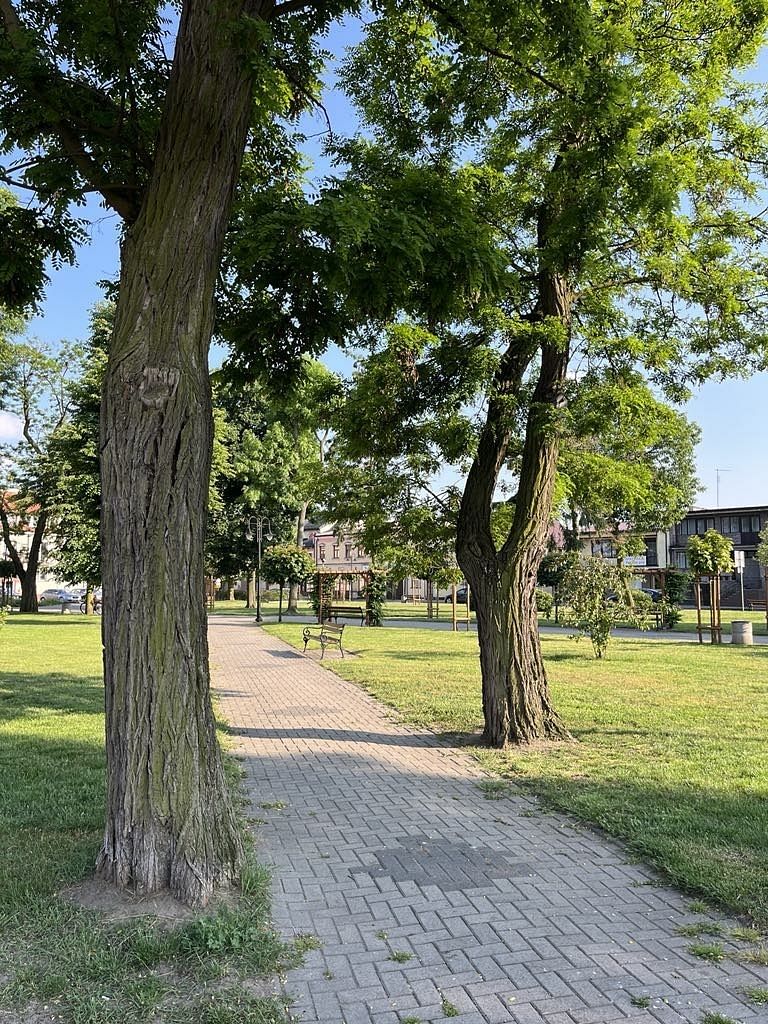 Lokal użytkowy  pokojowe na Sprzedaż