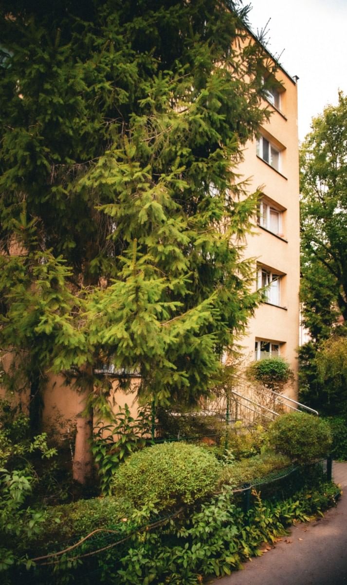Mieszkanie 3 pokojowe na Wynajem