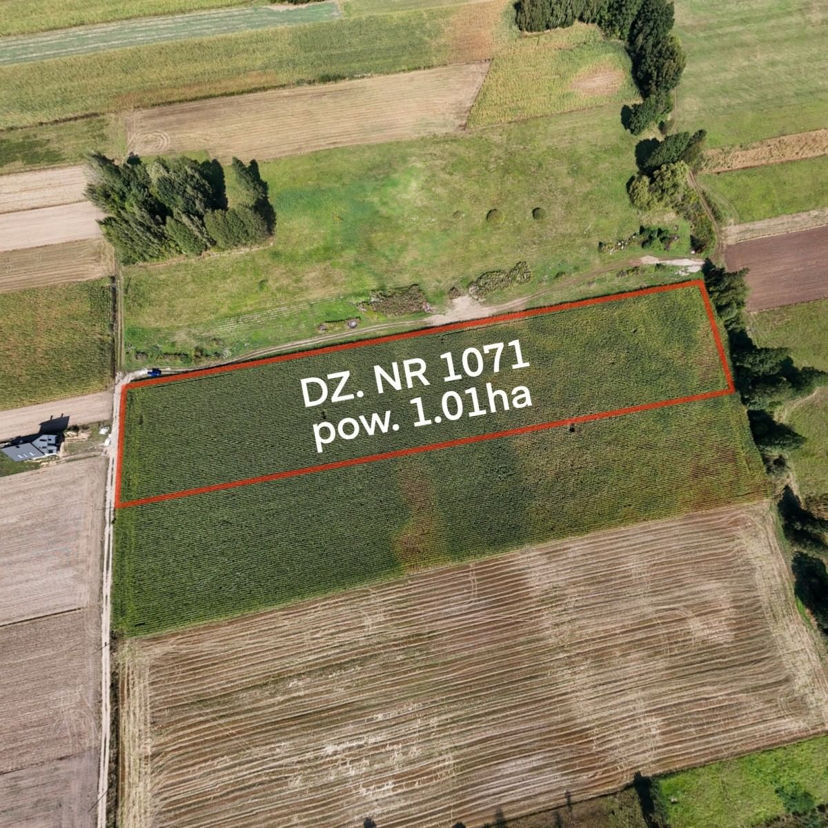 Działka  pokojowe na Sprzedaż