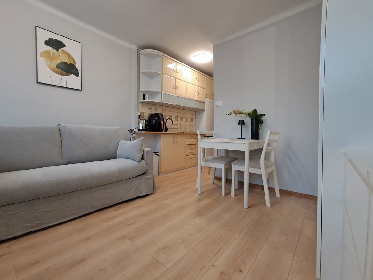 Mieszkanie 1 pokojowe na Wynajem