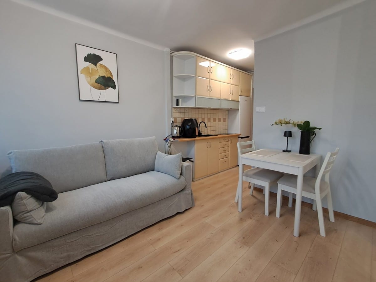 Mieszkanie 1 pokojowe na Wynajem