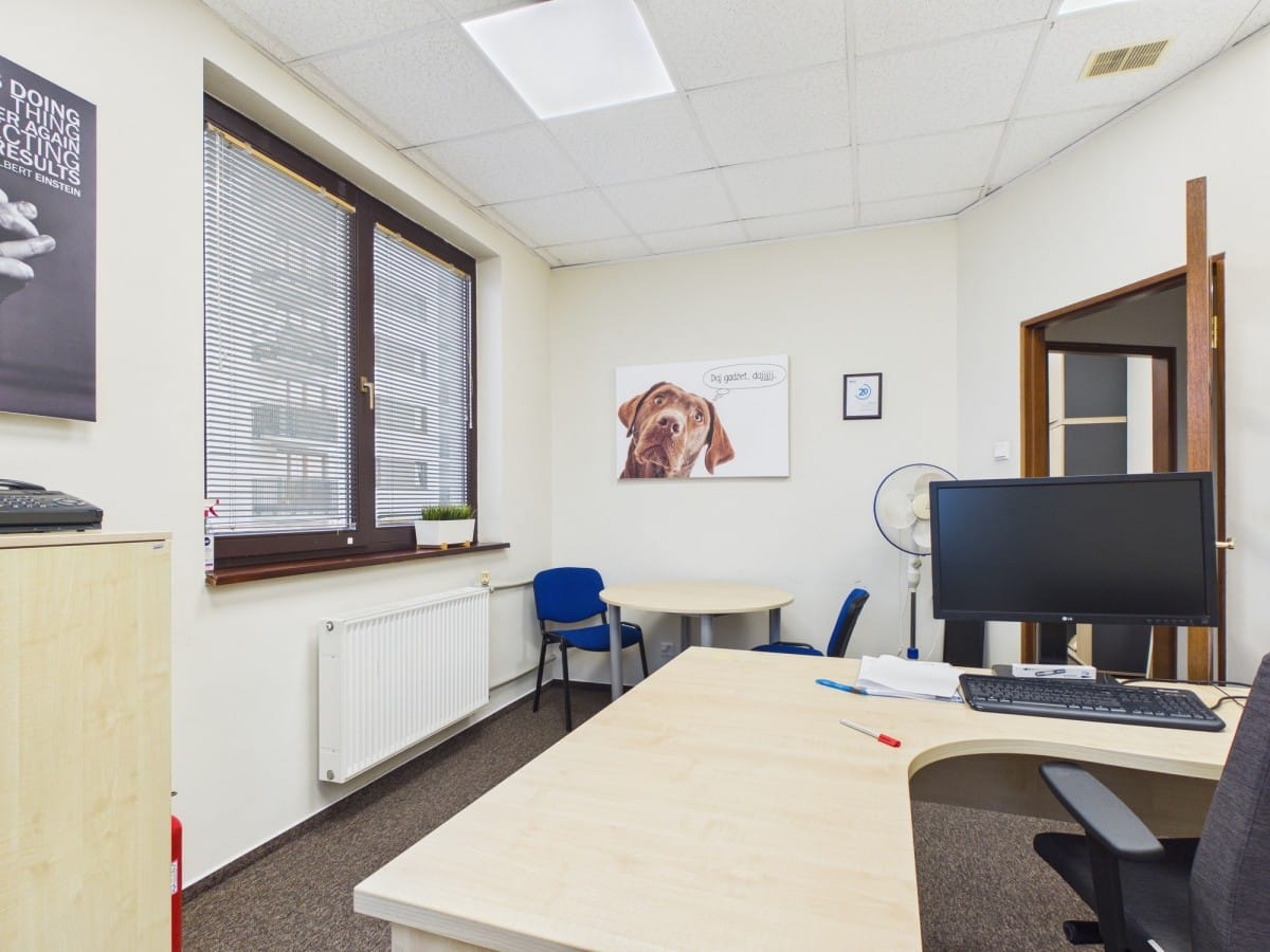 Lokal użytkowy  pokojowe na Wynajem