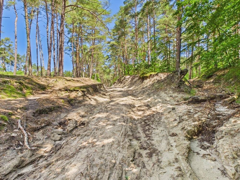 Lokal użytkowy  pokojowe na Sprzedaż