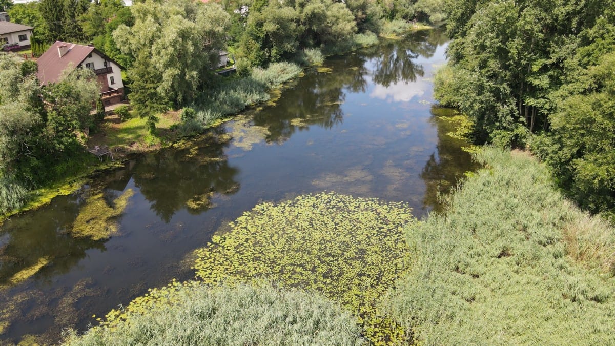 Dom 4 pokojowe na Sprzedaż