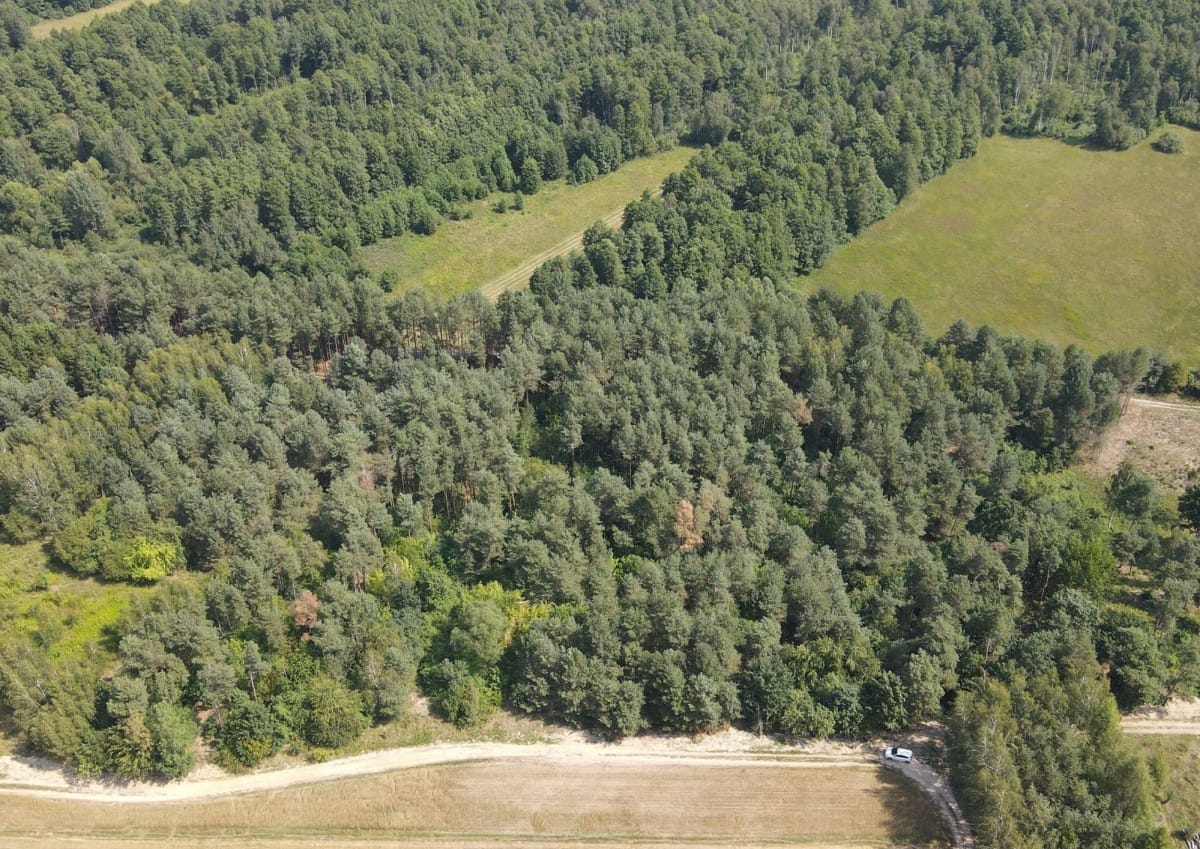 Działka  pokojowe na Sprzedaż